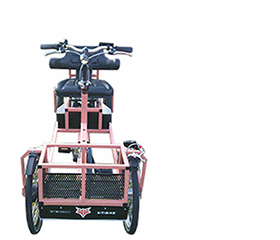 Een FoxiBikes Sitibike valt niet om! 
